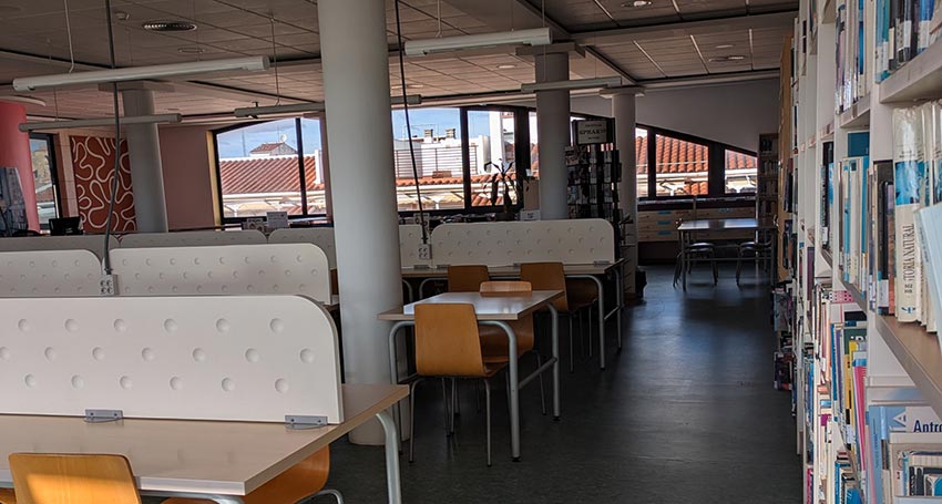 Festividades Día de la Constitución y la Inmaculada Concepción 2025